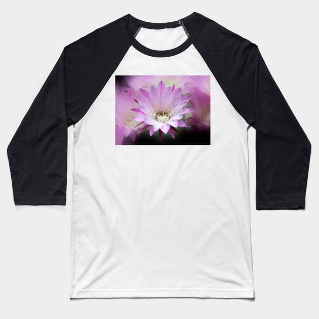 Pink Cactus Flower in the Rain #2 Baseball T-Shirt by Carole-Anne